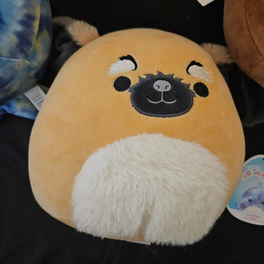 Squishmallows 8 Inch Plush Bundle Edward Luther Chuy Bobzi Set of 4 with Tags